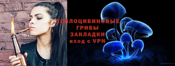 прущая мука Строитель