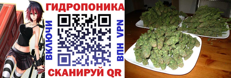 что такое   Краснокаменск  Бошки марихуана AK-47 